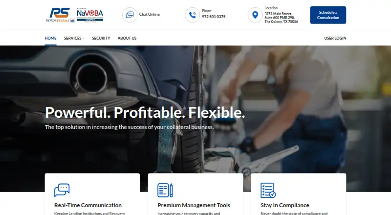 RepoSystems's website