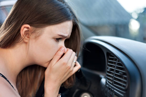 Why Does My Car's AC Smell Musty?